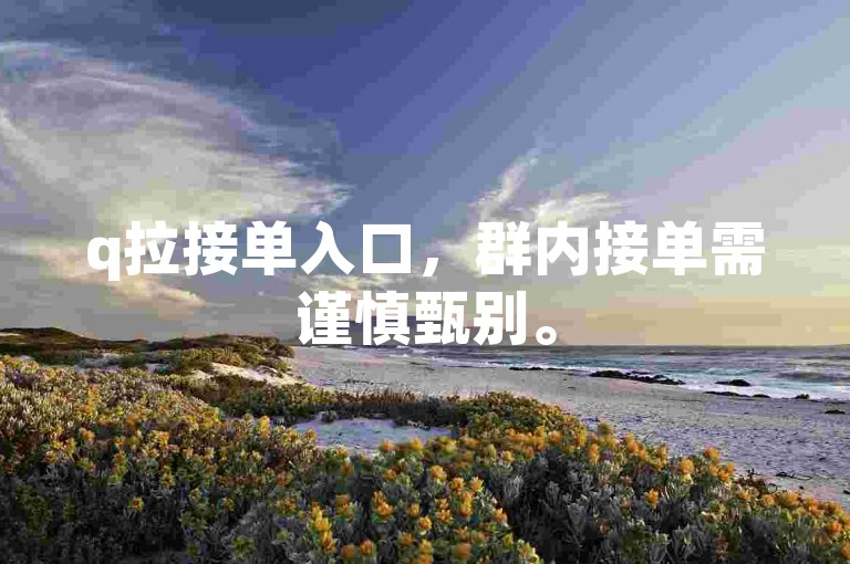 q拉接单入口，群内接单需谨慎甄别。