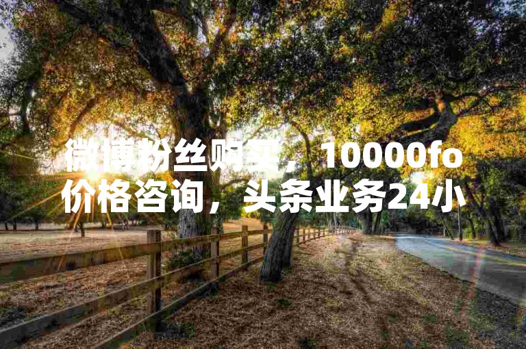 微博粉丝购买，10000fo价格咨询，头条业务24小时下单。