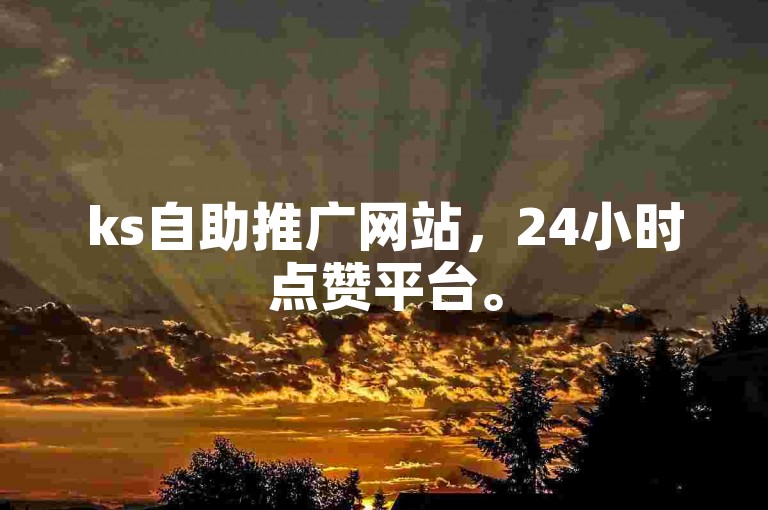 ks自助推广网站，24小时点赞平台。