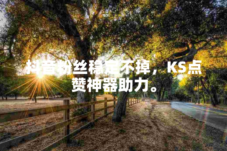 抖音粉丝稳定不掉，KS点赞神器助力。