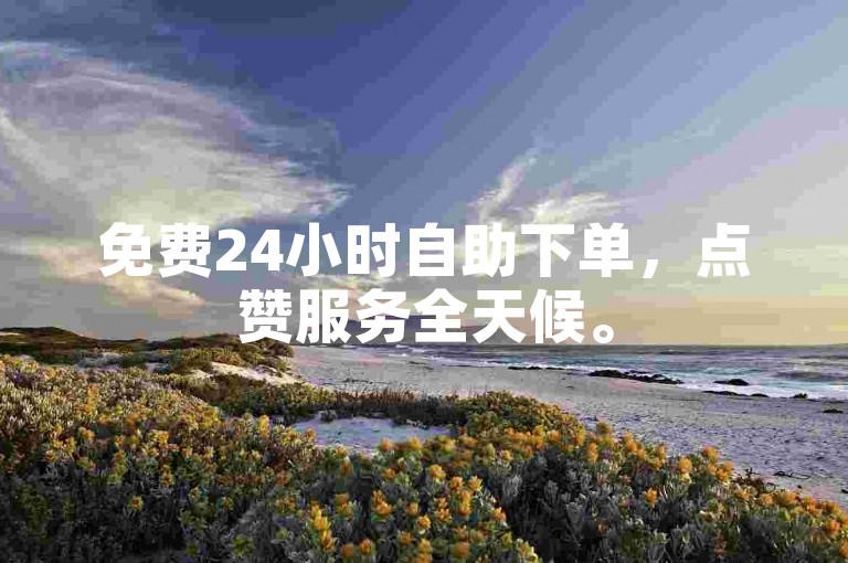 免费24小时自助下单，点赞服务全天候。