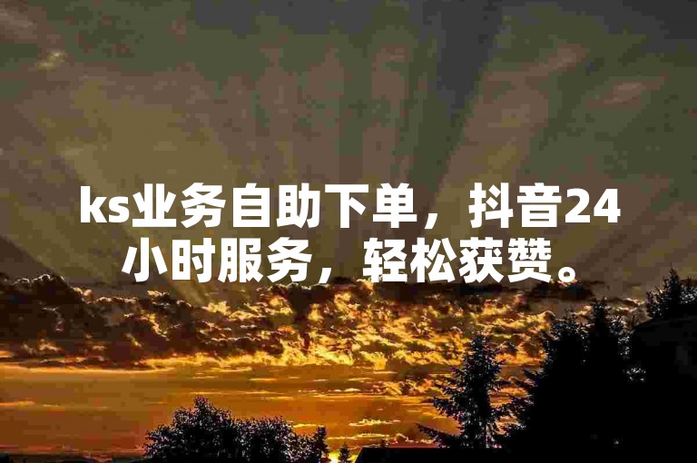 ks业务自助下单，抖音24小时服务，轻松获赞。