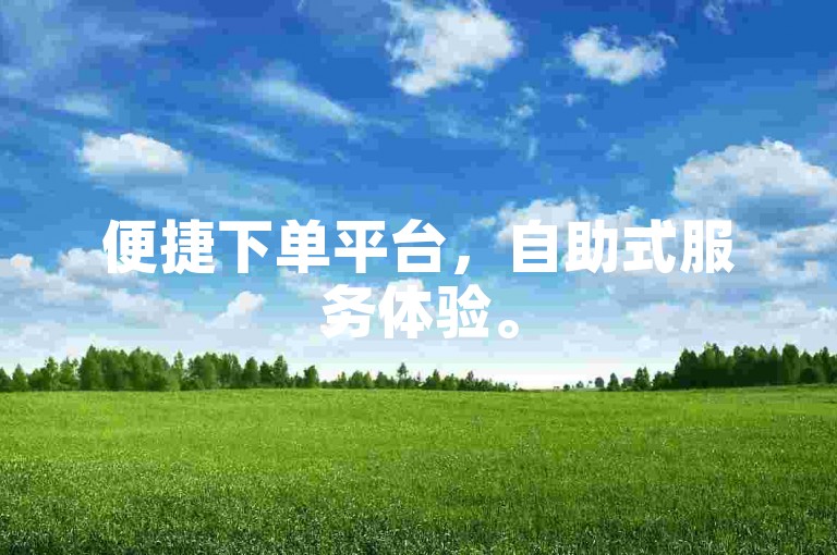 便捷下单平台，自助式服务体验。