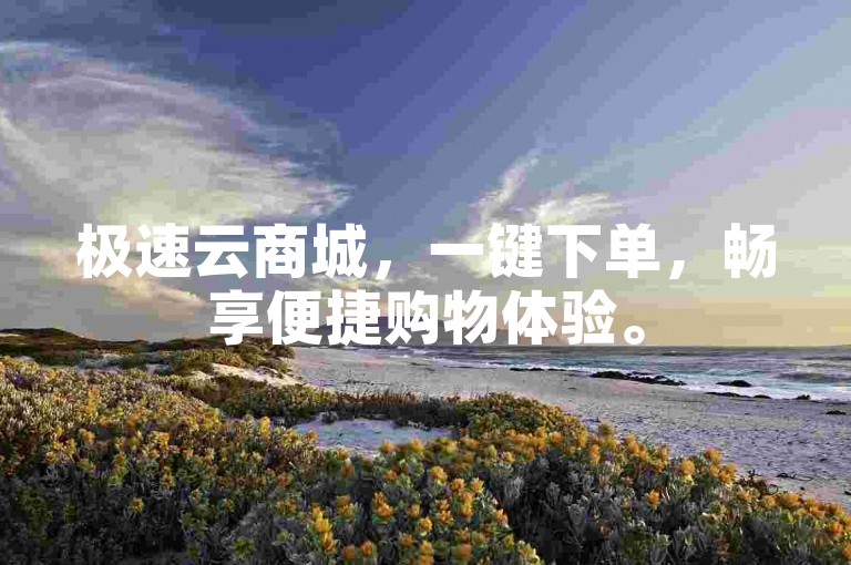 极速云商城，一键下单，畅享便捷购物体验。