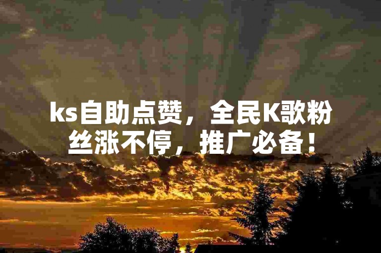ks自助点赞，全民K歌粉丝涨不停，推广必备！