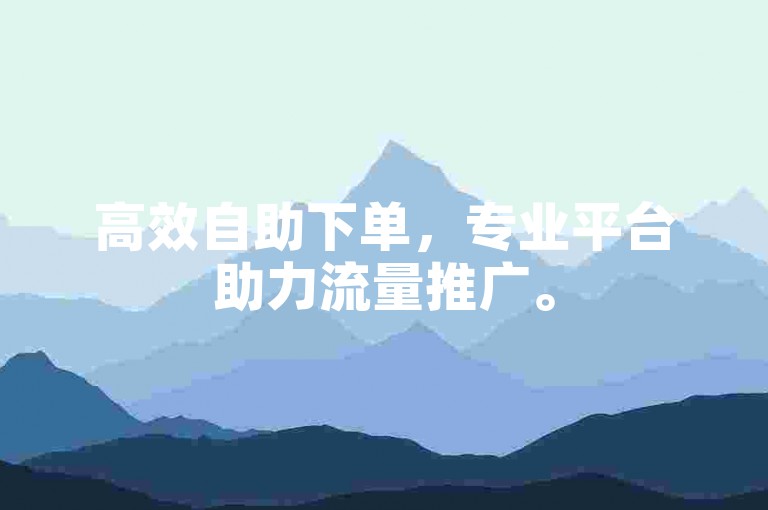 高效自助下单，专业平台助力流量推广。