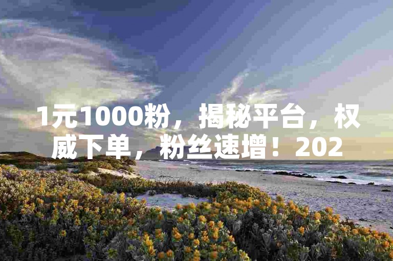 1元1000粉，揭秘平台，权威下单，粉丝速增！2024必备技巧。