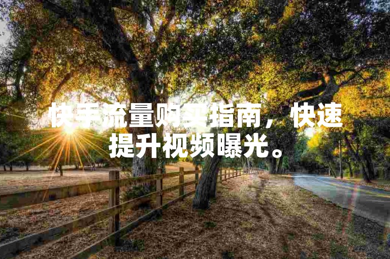 快手流量购买指南，快速提升视频曝光。