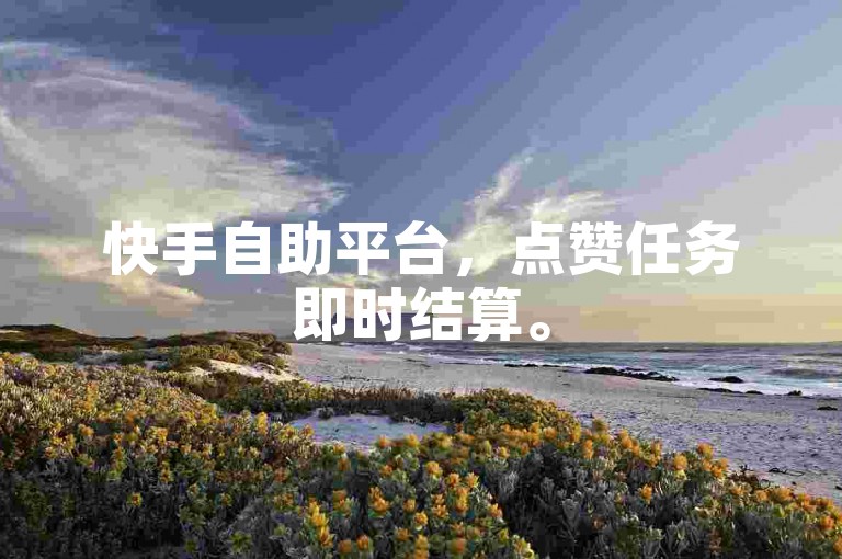 快手自助平台，点赞任务即时结算。