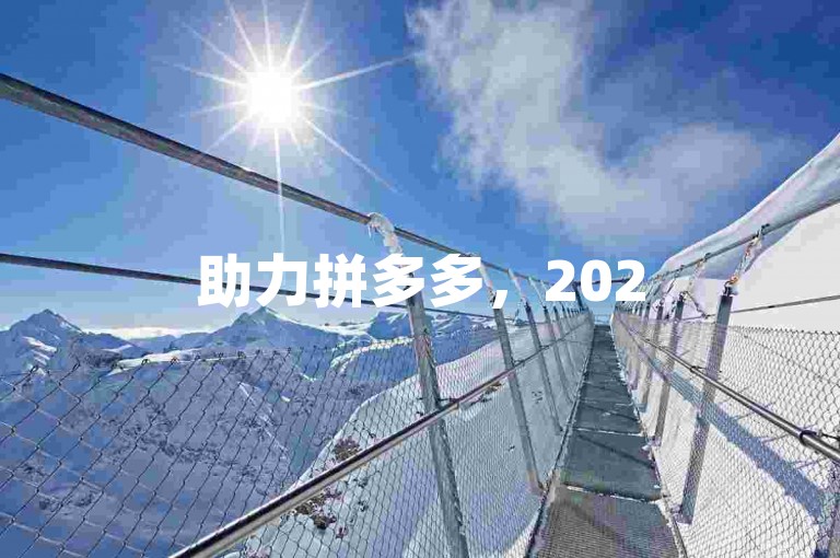 助力拼多多，2025砍价冲刺，共赴百分盛宴。
