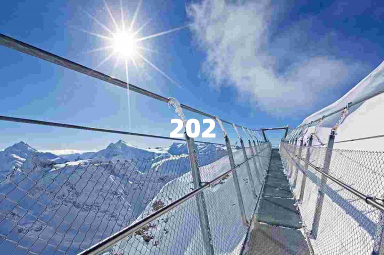 2025拼多多砍价群，众人拾柴火焰高的团购魅力显现。