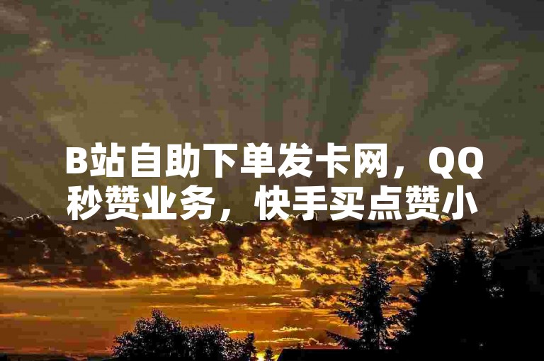 B站自助下单发卡网，QQ秒赞业务，快手买点赞小店，ks双击24小时。