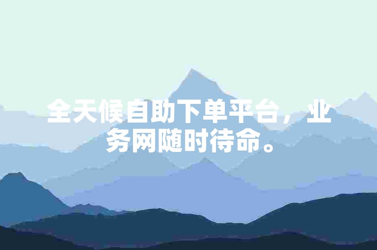 全天候自助下单平台，业务网随时待命。