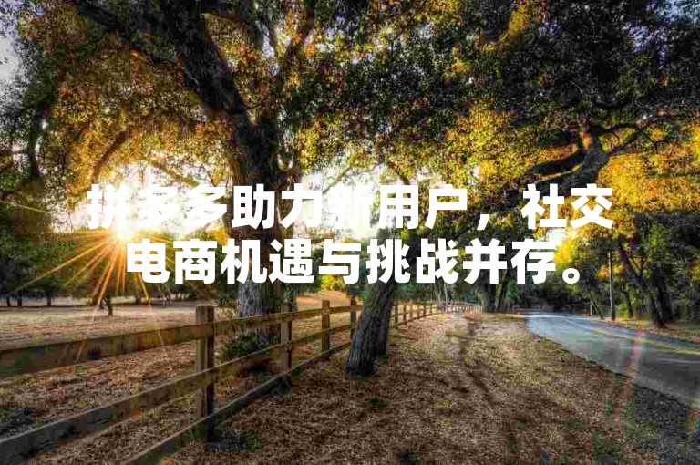 拼多多助力新用户，社交电商机遇与挑战并存。
