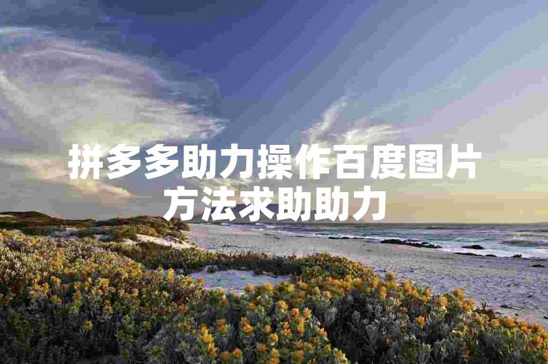 拼多多助力操作百度图片方法求助助力