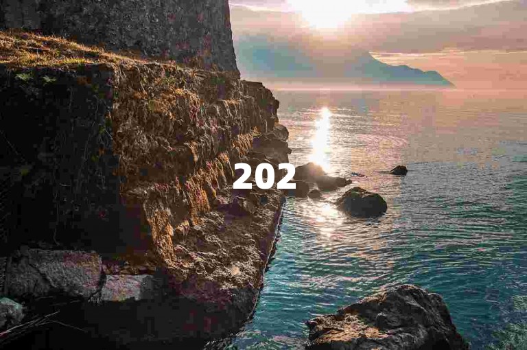 2025拼多多助力新群，互助砍价共赢优惠。