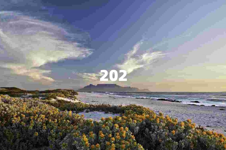 2025拼多多需多人助力，方能得600元。