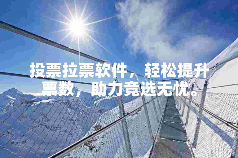 投票拉票软件，轻松提升票数，助力竞选无忧。