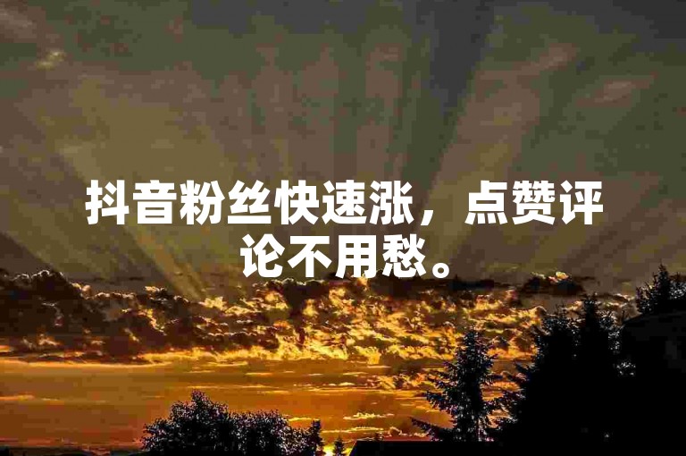 抖音粉丝快速涨，点赞评论不用愁。
