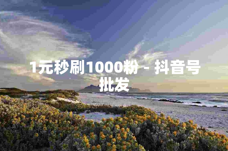 1元秒刷1000粉 - 抖音号批发
