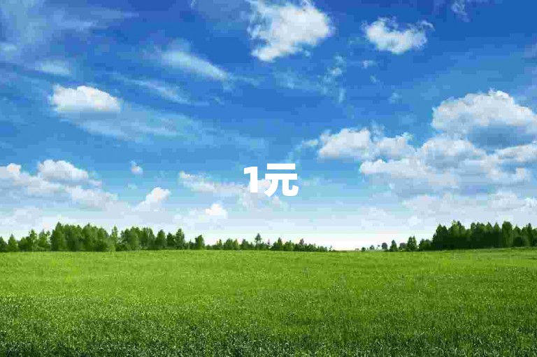 1元500播放自助下单 - 抖音视频推广助手