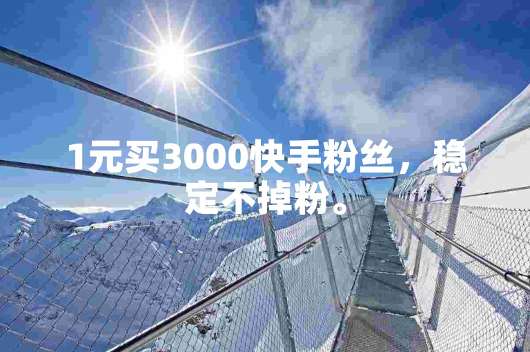 1元买3000快手粉丝，稳定不掉粉。