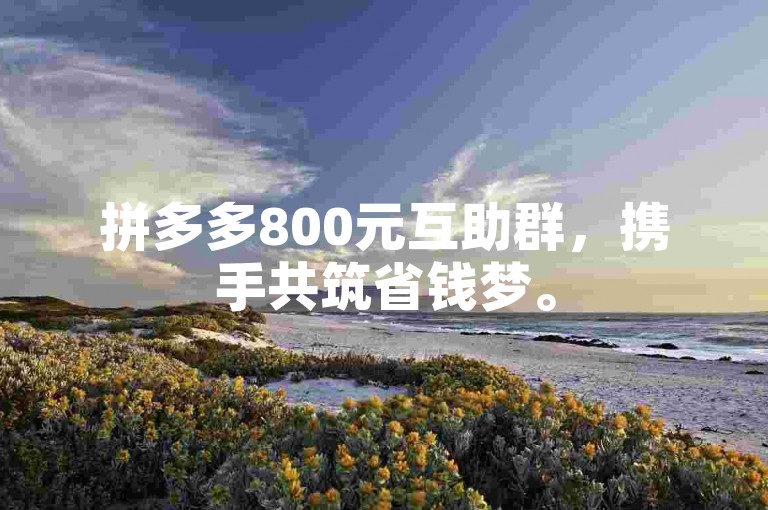 拼多多800元互助群，携手共筑省钱梦。