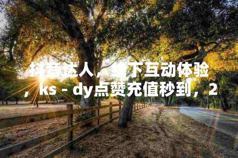 抖音达人，线下互动体验，ks - dy点赞充值秒到，24小时服务不停歇！