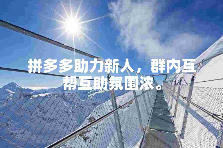 拼多多助力新人，群内互帮互助氛围浓。