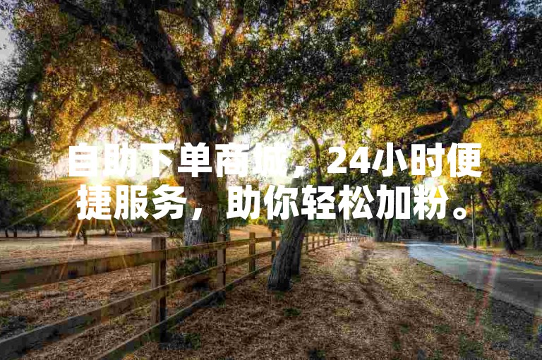 自助下单商城，24小时便捷服务，助你轻松加粉。