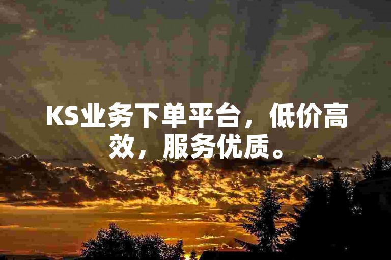 KS业务下单平台，低价高效，服务优质。