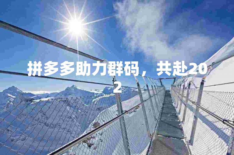拼多多助力群码，共赴2025科技新篇，携手开启未来之门。