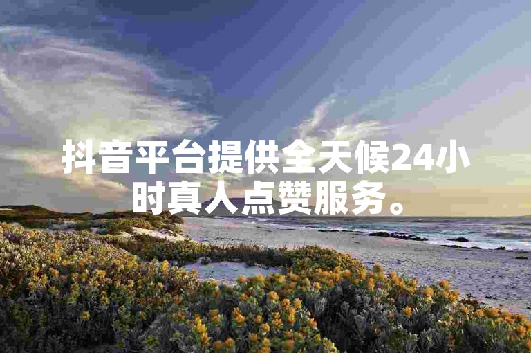 抖音平台提供全天候24小时真人点赞服务。