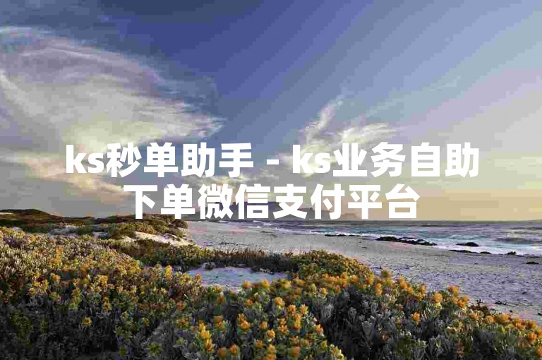 ks秒单助手 - ks业务自助下单微信支付平台