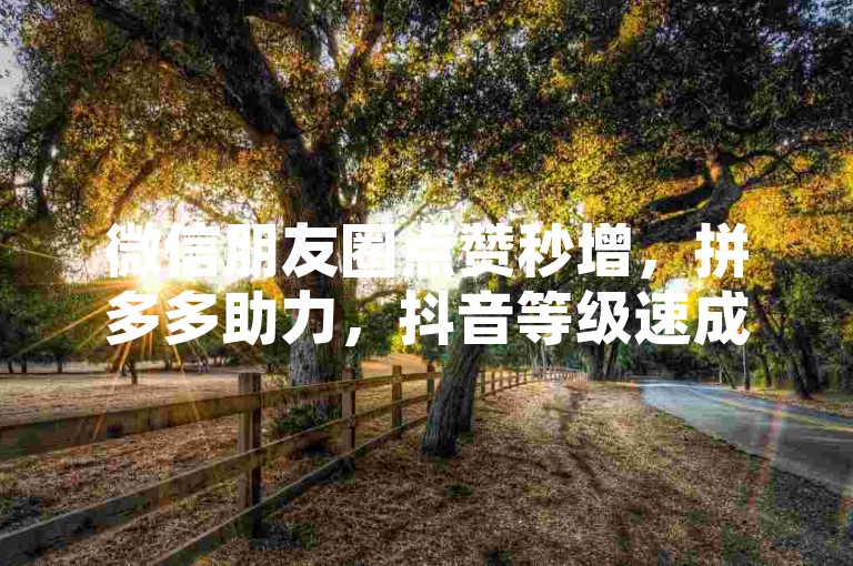 微信朋友圈点赞秒增，拼多多助力，抖音等级速成。