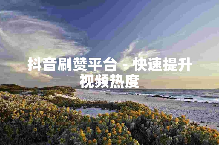 抖音刷赞平台 - 快速提升视频热度