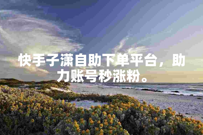 快手子潇自助下单平台，助力账号秒涨粉。