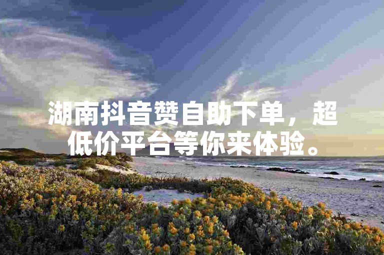 湖南抖音赞自助下单，超低价平台等你来体验。