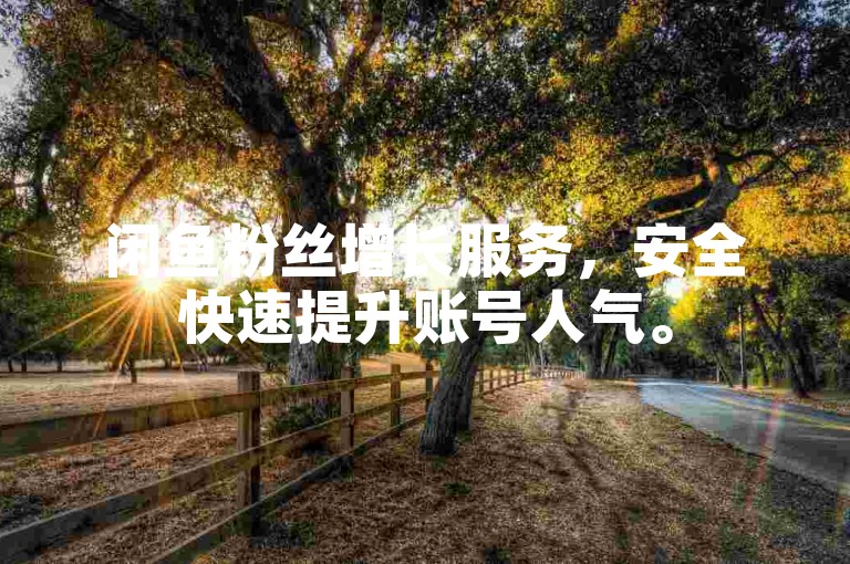 闲鱼粉丝增长服务，安全快速提升账号人气。