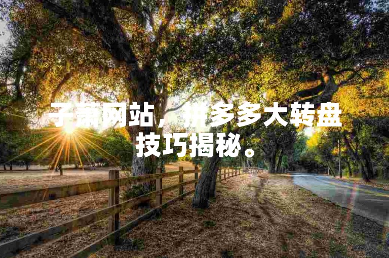 子萧网站，拼多多大转盘技巧揭秘。