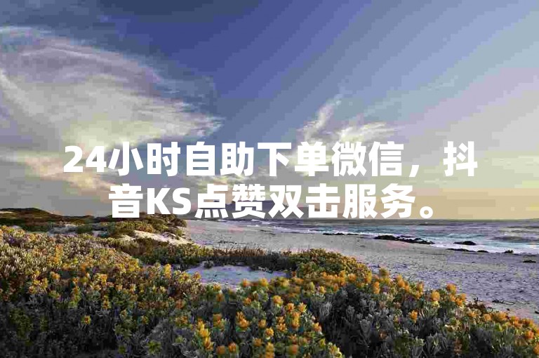 24小时自助下单微信，抖音KS点赞双击服务。