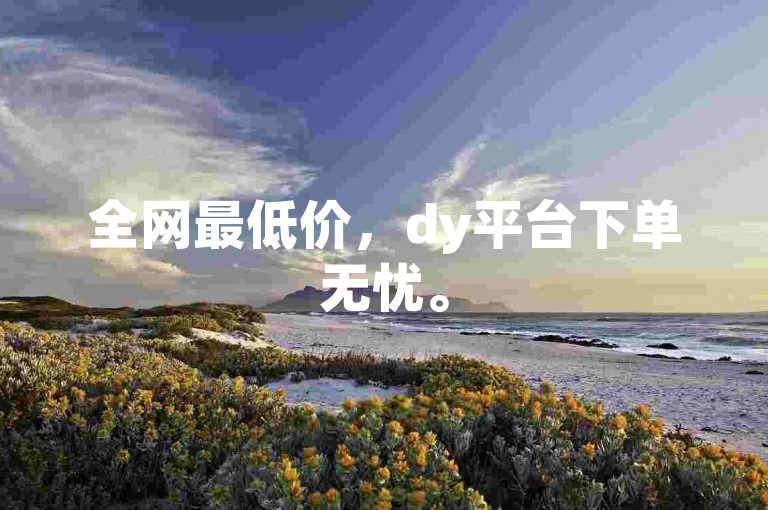 全网最低价，dy平台下单无忧。