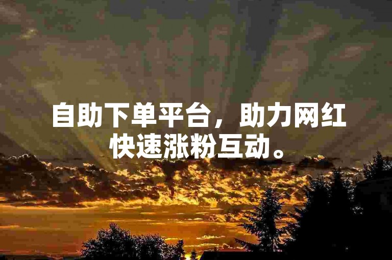 自助下单平台，助力网红快速涨粉互动。