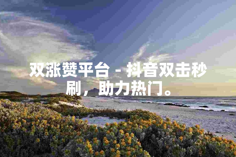 双涨赞平台 - 抖音双击秒刷，助力热门。