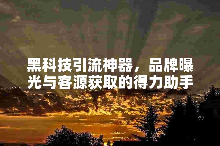 黑科技引流神器，品牌曝光与客源获取的得力助手！