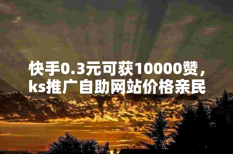快手0.3元可获10000赞，ks推广自助网站价格亲民。