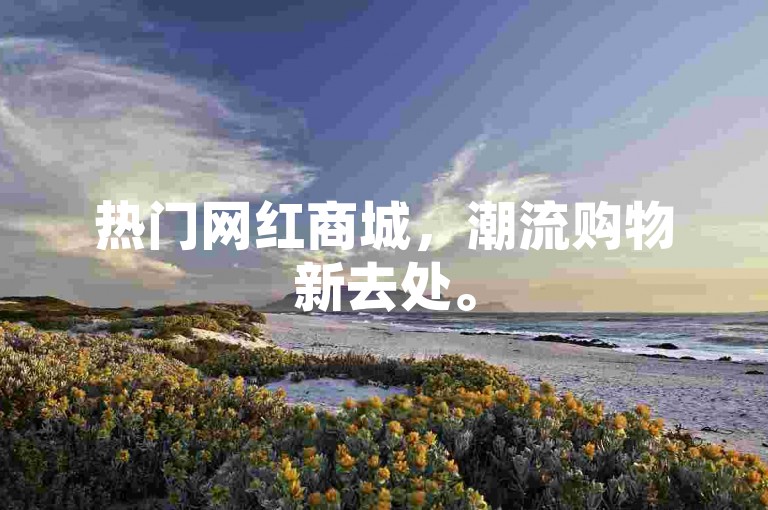 热门网红商城，潮流购物新去处。