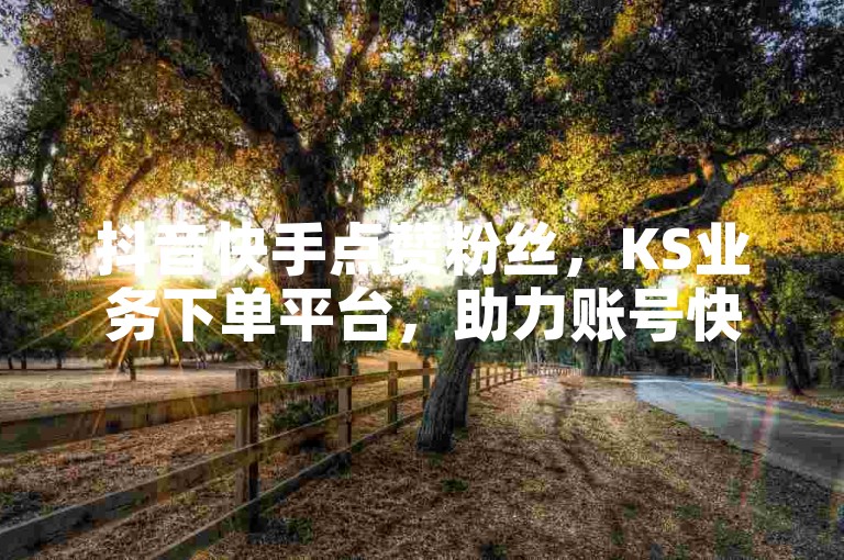 抖音快手点赞粉丝，KS业务下单平台，助力账号快速涨粉。