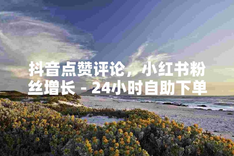 抖音点赞评论，小红书粉丝增长 - 24小时自助下单服务。
