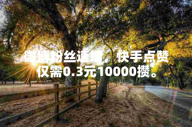 微博粉丝速增，快手点赞仅需0.3元10000攒。